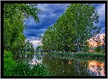 Bułgaria, Rzeka Struma, Drzewa, Trawa, Most