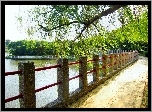 Jezioro, Bulwar, Drzewa