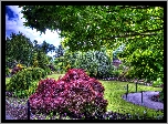 Park, Burchard, Vancouver
