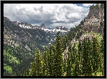 Góry, Las, Caribou-Targhee National Forest, Świerki, Dolina, Chmury, Stany Zjednoczone