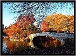 Central, Park, Rzeka, Most
