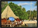 Plaża, Chata, Palmy