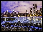 Chicago, Drapacze, Chmur, Rzeka