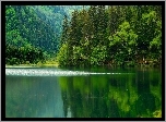 Chiny, Syczuan, Jezioro, Lasy, Drzewa