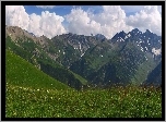 Chmury, Góry, Śnieg, Łąka, Trawa