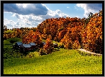 Jesień, Domy, Droga, Łąki, Trawa, Lasy, Pożółkłe, Drzewa, Chmury