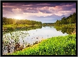 Chmury, Lasy, Jezioro, Szuwary