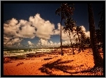 Chmury, Ocean, Plaża, Palmy