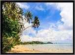 Wyspa Ko Mak, Prowincja Trat, Tajlandia, Morze, Palmy, Plaża, Chmury