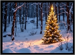 Zima, Las, Oświetlona, Choinka, Boże Narodzenie, Grafika