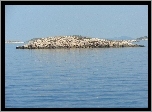 Chorwacja, Morze, Kamienie, Skała