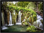 Wodospad, Park Narodowy Jezior Plitwickich, Drzewa, Rośliny, Drewniana, Kładka, Chorwacja