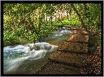 Chorwacja, Plitvice, Park Narodowy Jezior Plitwickich, Rzeka, Drzewa, Pomost