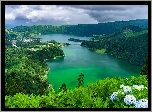 Hortensje, Jezioro Azul, Jezioro Verde, Góry, Lasy, Sete Cidades, Wyspa Sao Miguel, Azory, Portugalia