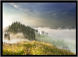 Ukraina, Ścieżka, Góry Karpaty, Poranek, Mgła, Drzewa