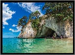 Morze, Skały, Drzewa, Jaskinia, Cathedral Cove, Region Waikato, Półwysep Coromandel, Nowa Zelandia