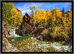 Stany Zjednoczone, Stan Kolorado, Rzeka Crystal River, Młyn Crystal Mill, Jesień, Drzewa