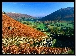 Cumbria, Anglia, Góry, Kolory, Domki