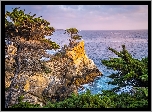 Skały, Drzewa, Cyprys wielkoszyszkowy, Atrakcja Lone Cypress, Pebble Beach, Morze, Zatoka, Carmel Bay, Kalifornia, Stany Zjednoczone