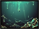 Cyril Rolando, Klepsydry, Morze