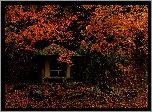 Jesień, Drzewa, Czerwonawe, Liście, Altana, Park w Nara, Miejscowość Nara, Japonia