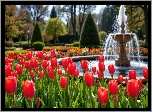 Park, Fontanna, Kwiaty, Czerwone, Tulipany, Drzewa, Wiosna