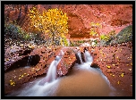 Rzeka Coyote Gulch, Wąwóz, Czerwone, Skały, Drzewa, Roślinność, Liście, Jesień, Stan Utah, Stany Zjednoczone