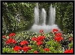 Czerwone, Kwiaty, Wodospad, Las