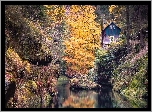 Las, Drzewa, Jesień, Skała, Dom, Rzeka Kamienica, Park Narodowy Czeska Szwajcaria, Czechy