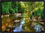 Czysta, Rzeka, Kamienie, Las
