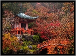 Japonia, Kioto, Kompleks świątynny Daigo-ji, Świątynia Benten-dō, Mostek, Staw, Jesień, Drzewa
