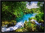 Chorwacja, Dalmacja, Park Narodowy Krka, Rzeka Krka