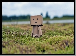 Łąka, Danbo, Rozmycie