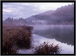 Jezioro Lac de Lamoura, Góry Jura, Trawy, Mgła, Departament Jura, Francja