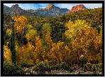 Stany Zjednoczone, Arizona, Pustynia Sonora, Sonoran Desert, Góry, Drzewa, Kaktusy, Jesień