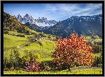 Włochy, Santa Maddalena, Dolina Val di Funes, Góry Dolomity, Wzgórza, Drzewa, Domy