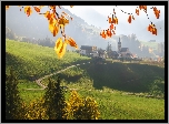 Dolina Val di Funes, Wieś Santa Maddalena, Góry, Lasy, Drzewa, Domy, Kościół, Gałązki, Liście, Włochy