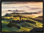 Dolina, Val di Cecina, Pola, Wzgórza, Poranek, Mgła, Toskania, Włochy