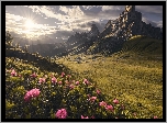 Dolomity, Przełęcz, Passo di Giau, Góry, Kręta, Droga, Różaneczniki, Kwiaty, Promienie słońca, Chmury Prowincja Belluno, Włochy