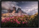 Góry, Skały, Tre Cime di Lavaredo, Dolomity, Polana, Kwiaty, Chmury, Włochy