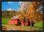Dom, Przy, Drodze, Jesień, Anglia, Vermont