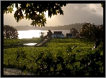 Dom, Jezioro, Łąka, Mgła, Poranek