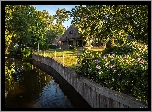 Holandia, Prowincja Overijssel, Giethoorn, Drzewa, Kwiaty, Rzeka, Dom