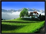 Góry, Domek, Drzewko