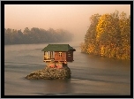 Domek, Na, Jeziorze, Drzewa