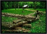 Las, Domek, Kłody