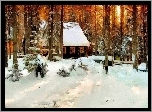 Las, Domek, Śnieg