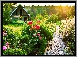Domek, Ogród
