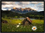 Domki, Góry, Lasy, Jezioro, Łąka, Kwiatki