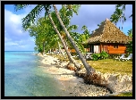Polinezja Francuska, Atol Rangiroa, Domki, Palmy, Morze